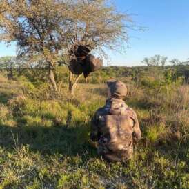 73384196904__6DE9D13A-8C91-41B3-A7E1-4D821C87CA45